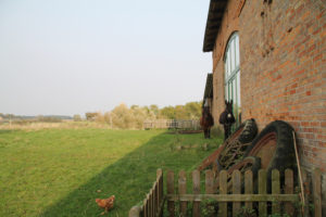 ©_Mandelu_Susi_Pino